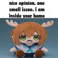 nice opinion. one small issue. i am inside your home