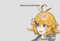 Neuron activation Dokibird sees action