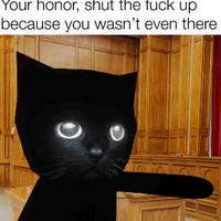 Your honor, shut the f--- up because you wasn't even there