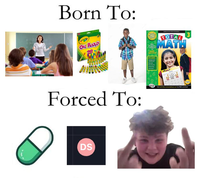 Born To: Crayola OIL PASTELS Your Complete solution to math success! INCLUDES TOTAL MATH GRADE 3 Forced To: DS