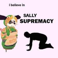 i believe in SALLY SUPREMACY 72