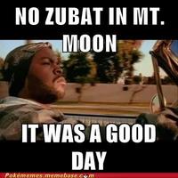 NO ZUBAT IN MT. MOON IT WAS A GOOD DAY Pokémemes.memebase.com