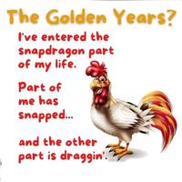 The Golden Years? I've entered the snapdragon part of my life. Part of me has snapped... and the other part is draggin'.