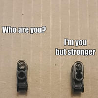 Who are you? I'm you but stronger ILSEE