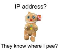 IP address? They know where I pee?