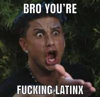 The original "Bro You're F------ Latinx" meme showing "_Jersey Shore_":https://knowyourmeme.com/memes/subcultures/jersey-shore cast member Pauly D yelling with top and bottom "Impact":https://knowyourmeme.com/memes/impact captions reading, "Bro you're f------ "Latinx":https://knowyourmeme.com/memes/latinx."