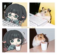 @chinchilla-yeon 10 " 3