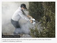 EPA-EFE/REX/SHUTTERSTOCK A man pours almond milk on to a fire hot spot outside a home near the Eaton wildfire in Altadena, California