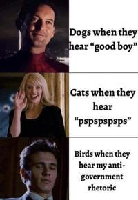 Dogs when they hear "good boy" Cats when they hear "pspspspsps" Birds when they hear my anti- government rhetoric