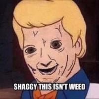 SHAGGY THIS ISN'T WEED