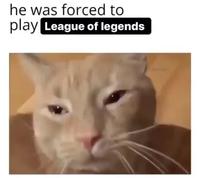he was forced to play League of legends