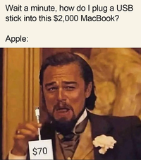 Wait a minute, how do I plug a USB stick into this $2,000 MacBook? Apple: $70