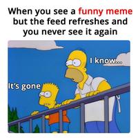 When you see a funny meme but the feed refreshes and you never see it again It's gone I know...