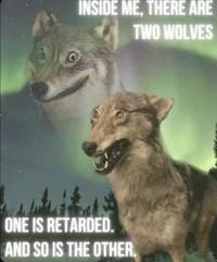 INSIDE ME, THERE ARE TWO WOLVES ONE IS RETARDED. AND SO IS THE OTHER.