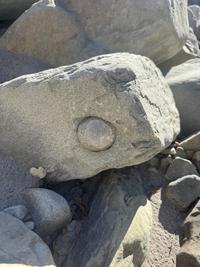 Found a spherical rock in another rock