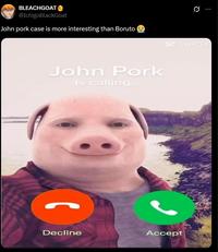 BLEACHGOAT @IchigoBlackGoat John pork case is more interesting than Boruto Q Cap Cut John Pork Is calling... Decline Accept