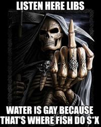 LISTEN HERE LIBS WATER IS GAY BECAUSE THAT'S WHERE FISH DO S*X
