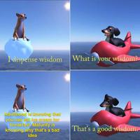 I dispense wisdom What is your wisdom? Adulthood is knowing that you can eat ice cream for breakfast. Maturity is knowing why that's a bad idea That's a good wisdom.