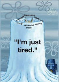 depression insomnia loneliness crying anxiety existential dread "I'm just tired."