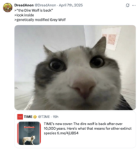 Some internet users reacted with skepticism about the news that Colossal Sciences had truly "brought back" the dire wolf, noting that they had managed to alter much of the genetic code of a grey wolf to give it traits resembling the dire wolf.