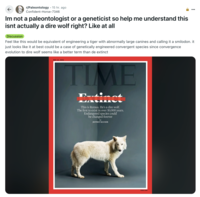 Some internet users discussed the ethics of describing the genetically engineered wolves "dire wolves," as seen in this post by Redditor /u/Confident-Horse-7346.