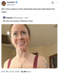 brandon* @brndxix Ø did i miss a joke on here yesterday because what does this mean Patrick @NoSwayze - Apr 7 Me after two plates of Mexican food 9:00 PM Apr 8, 2025 32.4M Views