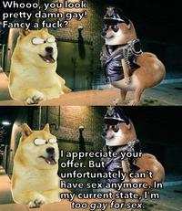 Whooo, you look pretty damn gay! Fancy a f---? I appreciate your offer. But unfortunately can't have sex anymore. In my current state, I'm too gay for sex.