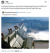 Amidst rising tensions between the U.S. and China in April 2025, several internet users began citing the Three Gorges Dam as a possible military target. X user @Triggeredal reacted to a tweet by @cimmerian_v about the Dam, writing, "a uniquely American culture trait is threatening the lives of millions of uninvolved innocent people because they don't get their way."