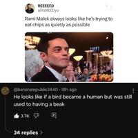 REEEEED @itsREEDyo Rami Malek always looks like he's trying to eat chips as quietly as possible @bananarepublic3440 • 18h ago He looks like if a bird became a human but was still used to having a beak 3.7K 34 replies >