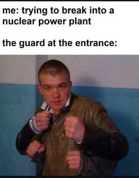 me: trying to break into a nuclear power plant the guard at the entrance: