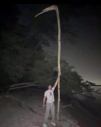 The grand stickbearer