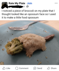 • Rate My Plate · Join 3d ☑ • ... I noticed a piece of broccoli on my plate that I thought looked like an opossum face so I used it to make a little food opossum Like Comment Send Share