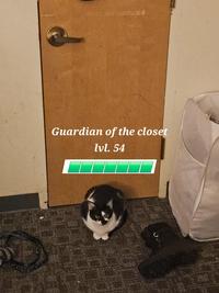 Guardian of the closet lvl. 54