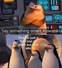 Say something smart, Kowalski. Sleep is just a free trial of death but with ads made with mematic