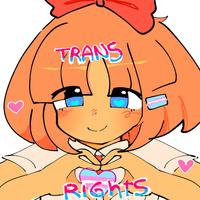 TRANS Rights