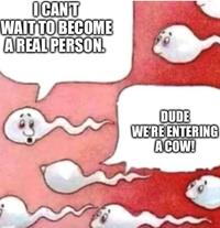 ICANT WAIT TO BECOME A REAL PERSON. DUDE WE'RE ENTERING A COW!