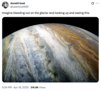 A tweet participating in the RPG project started by "Twitter / X":https://knowyourmeme.com/memes/sites/twitter-x user @lolt64 and various collaborators in January 2025. @lolt64 began posting as though they were soldiers part of a never-ending war on Europa, a moon of Jupiter known for its icy climate, in early 2025, and went on to spawn an art, meme, and fanfiction trend by April 2025.