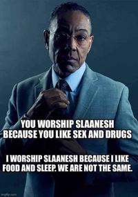 YOU WORSHIP SLAANESH BECAUSE YOU LIKE SEX AND DRUGS I WORSHIP SLAANESH BECAUSE I LIKE FOOD AND SLEEP. WE ARE NOT THE SAME. Imgflip.com