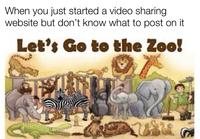 When you just started a video sharing website but don't know what to post on it Let's Go to the Zoo!