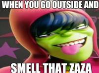 WHEN YOU GO OUTSIDE AND SMELL THAT ZAZA