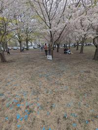 Litter left behind after a gender-reveal party
