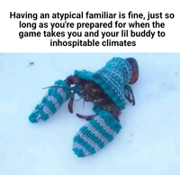 Having an atypical familiar is fine, just so long as you're prepared for when the game takes you and your lil buddy to inhospitable climates RAHAS ARARAN HARRAS