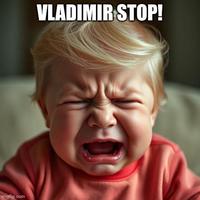 imgflip.com VLADIMIR STOP!