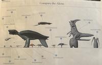 Interactive BEACH QUILL JET DARTER HORUS PROBE Compare the Aliens SKEWER GROVEBACK GYROSPRINTER ARROWTONGUE BT LADDERHORN LITTORALOPE UNTH TRUNK SUCKER PRONGHEAD DAGGERWRIST SEA STRIDER BUTCHER TREE