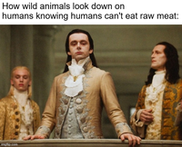 How wild animals look down on humans knowing humans can't eat raw meat: imgflip.com
