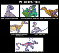WHAT THE PUBLIC THINKS I AM VELOCIRAPTOR ន WHAT DINO-FANBOYS THINK I AM WHAT FEATHERNAZI'S THINK I AM WHAT THE PALEO-COMMUNITY THINKS I AM Kill ឆេះ៖ me... WHAT I REALLY AM VELOCIRAPTOR: WHAT THE REST OF DEVIANTART THINKS I AM