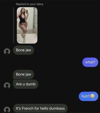 Replied to your story Bone jaw Bone jaw Are u dumb It's French for hello dumbass what? huh?