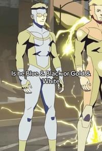 Is he Blue & Black or Gold & White