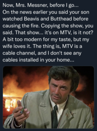 Now, Mrs. Messner, before I go... On the news earlier you said your son watched Beavis and Butthead before causing the fire. Copying the show, you said. That show... it's on MTV, is it not? A bit too modern for my taste, but my wife loves it. The thing is, MTV is a cable channel, and I don't see any cables installed in your home...