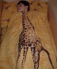 The perfect blanket